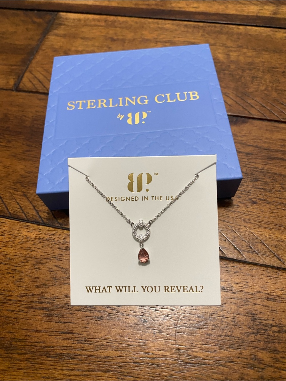 Bomb Party Sterling Club Necklace - The Serella Pendant - Light Rubellite